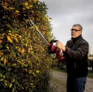 Billede af Flex akku hækkeklipper GHT 55 18-EC